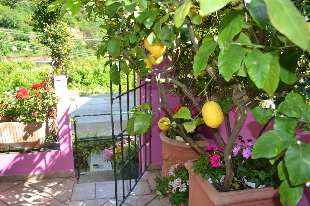 Casa Nobile Bed & Breakfast Tovo San Giacomo Exterior photo